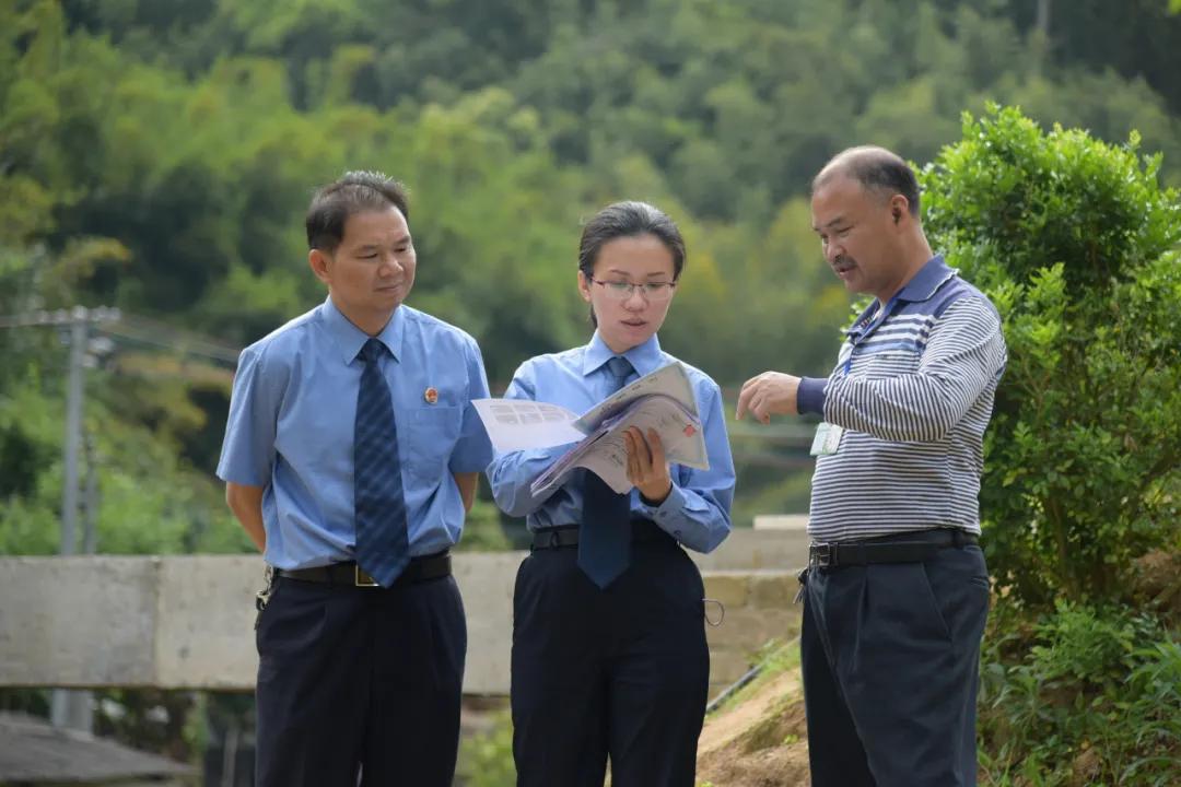 岑溪非法稀土开采最新动态报道